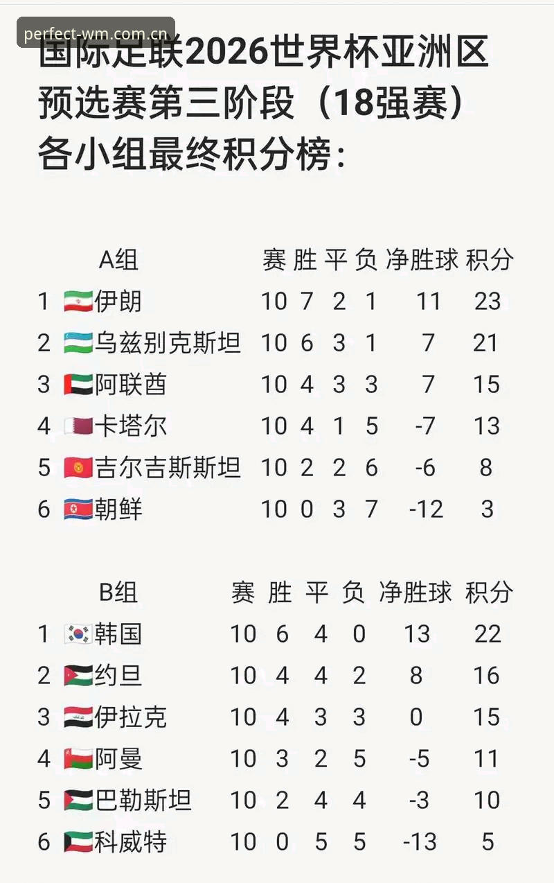 2026世界杯观赛签证问题应对指南——从完美体育官网深度解析赛事出行挑战